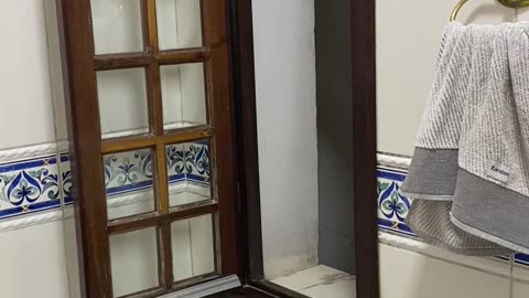 😂🐱 Cat Gets Stuck Outside - Hilarious Fail! | FunFM