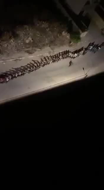 Israeli forces continued their mass abduction campaign in Tulkarm