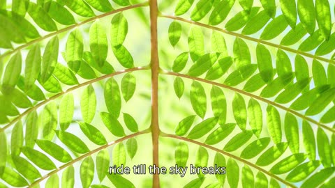 Ride Till The Sky Breaks V2