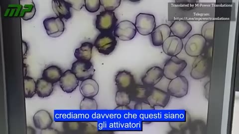 SANGUE SINTETICO CON PRESENZA DI NANOTECNOLOGIA ALL'INTERNO DEI GLOBULI ROSSI (ENG AUDIO, ITA SUB)