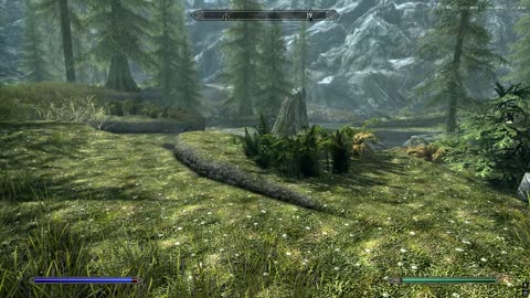 skyrim par 8