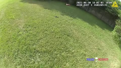Bodycam Video Shows Suspect Fire at Michigan Deputy Before Being Shot