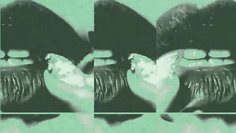 Palaye Royale addicted to the wicked and twisted