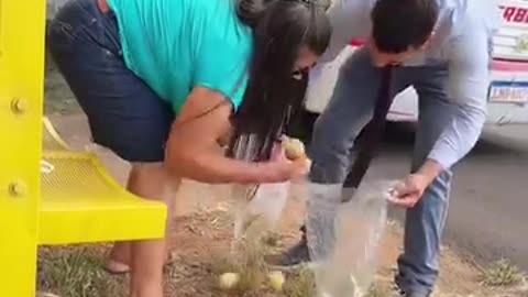 Anyone can make someone's day better!