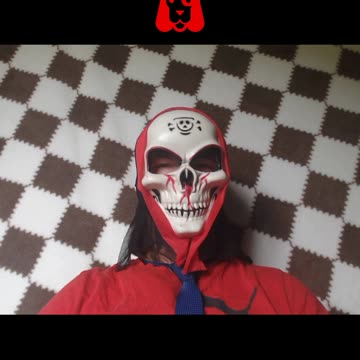 My Dogs Don’t Judge My Lawn Habits