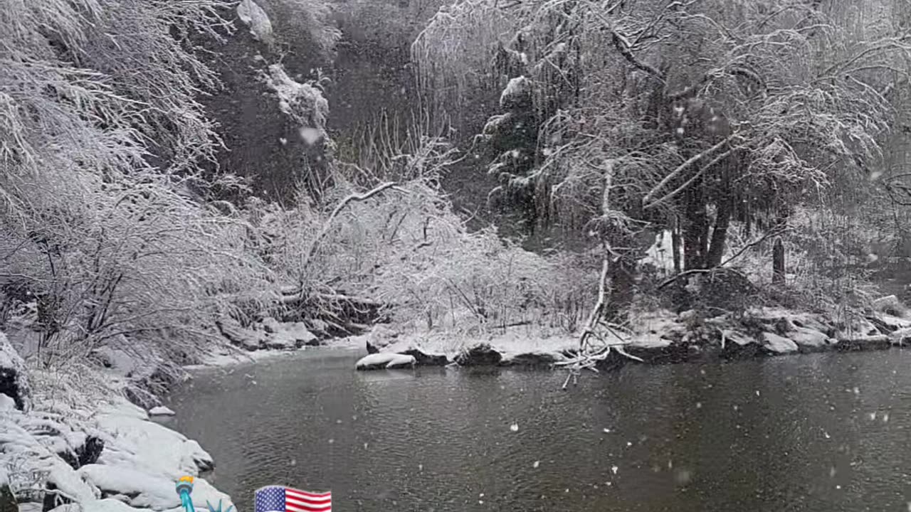 New York Christmas Winter Season Snow Day