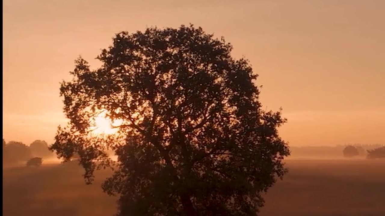 Daily Horoscope | Leo 🌟