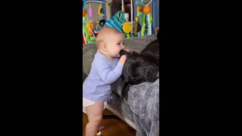 Daddy Goat 24/7 - Out Of Context Memes & Videos