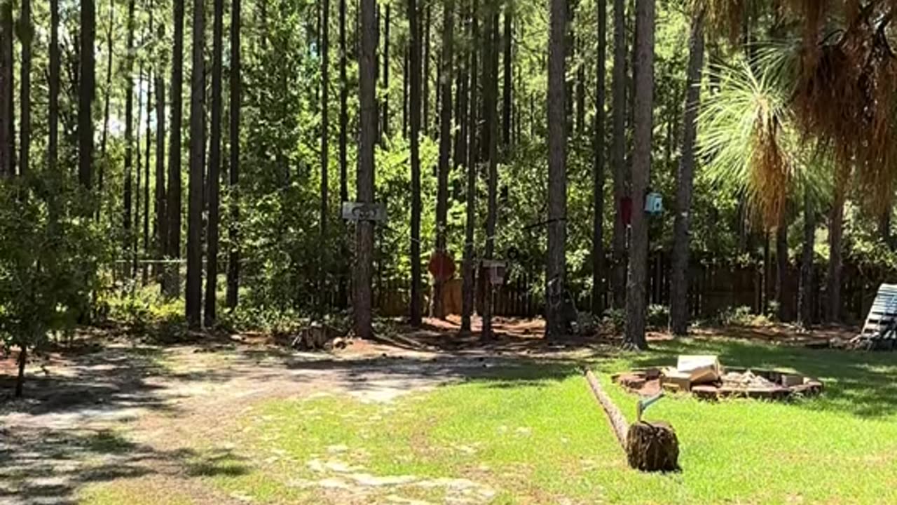 Impressive Long-Range Axe Throwing