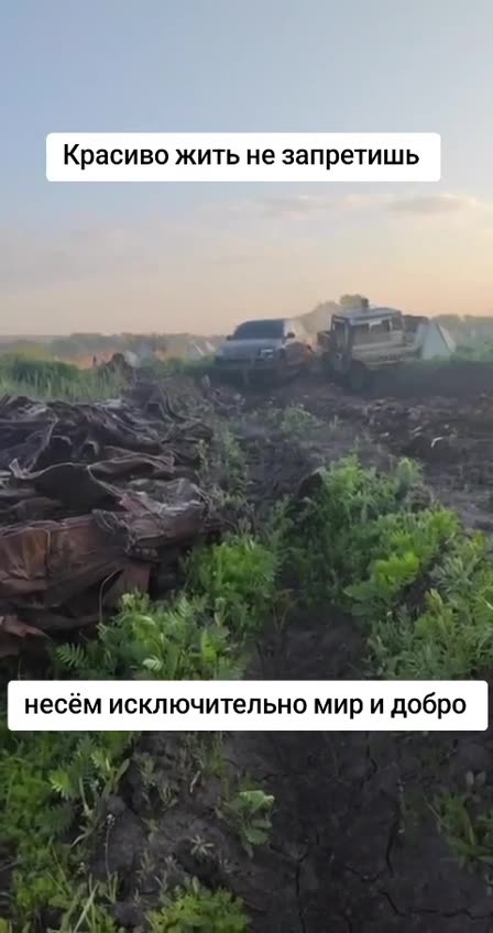 Situation in the SVO zone