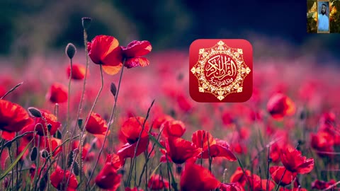القران الكريم تلاوة تهز القلوب وتبكي القلوب ابداع