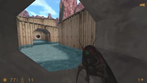 Half Life Part 8