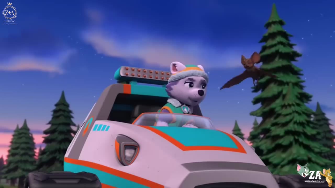 PAW Patrol Cartoons