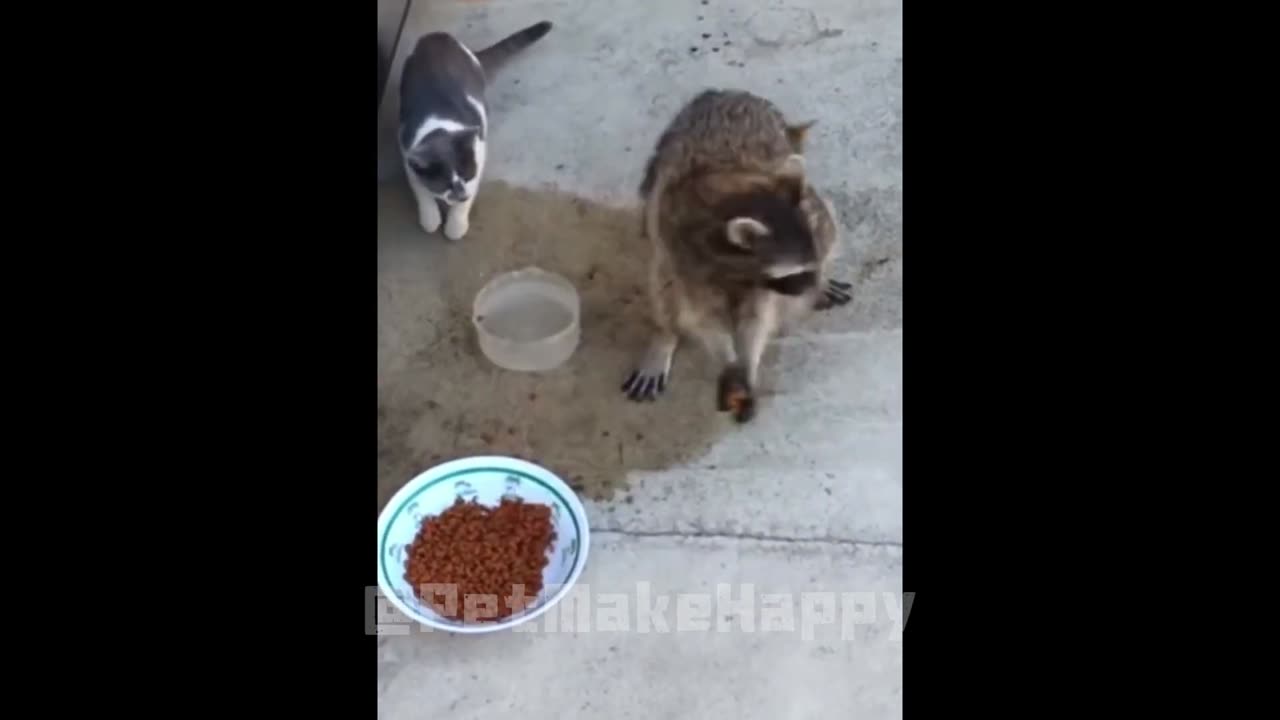 ⚠️ WARNING: This Animal Compilation is TOO FUNNY for Public Viewing! 😂