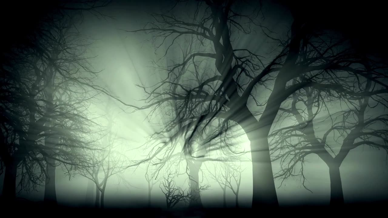 No Signs of Life