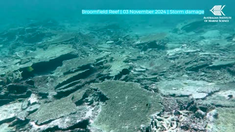 Australia's Great Barrier Reef suffers record coral decline