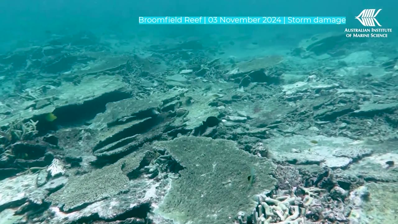 Australia's Great Barrier Reef suffers record coral decline