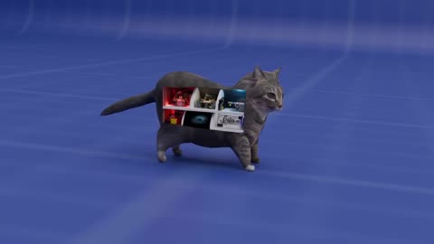 HOW CAT WORKS