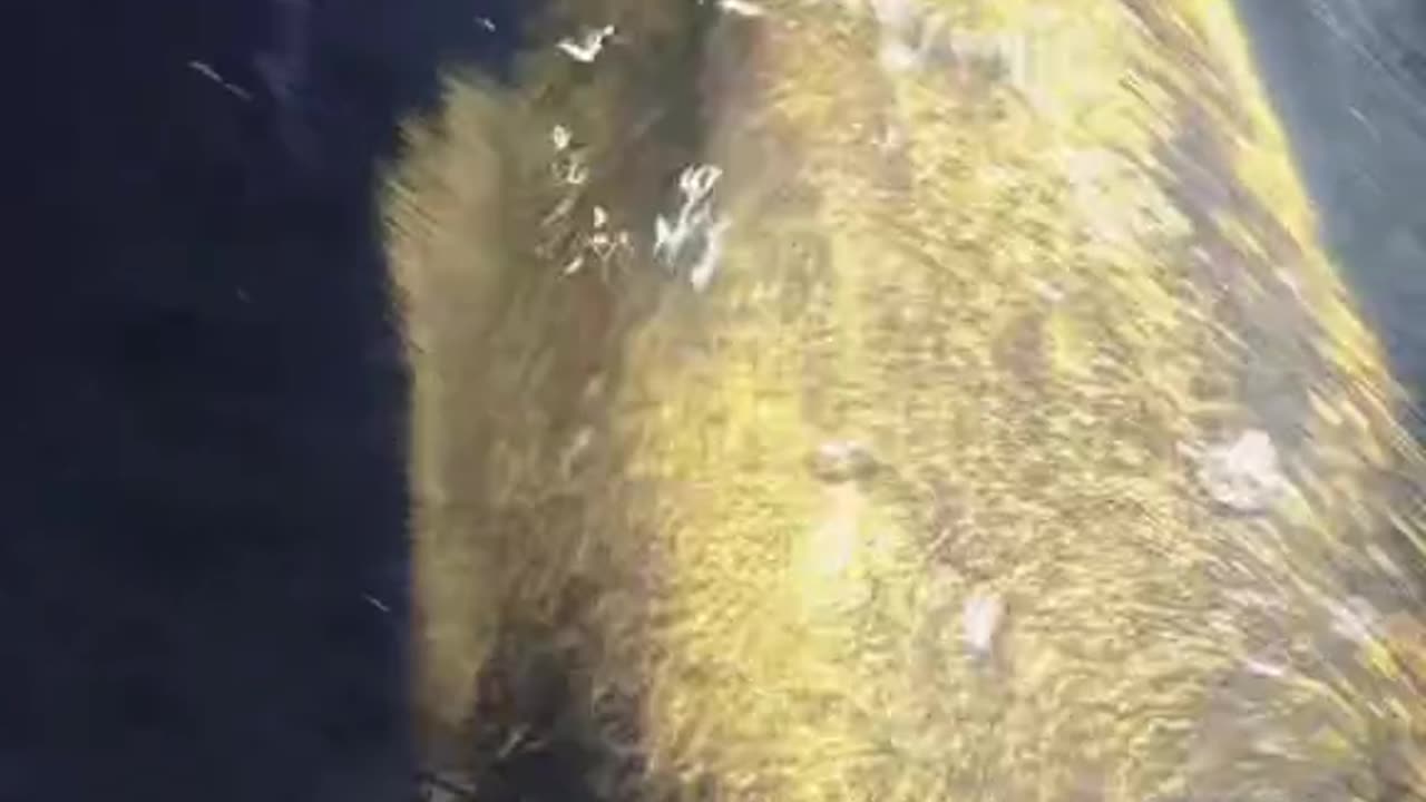"The Environmental Impact of Gold Mining: Challenges and Solutions"