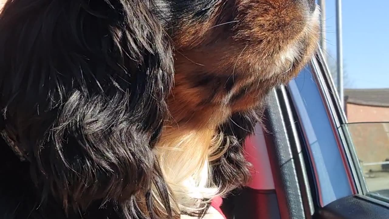 Winston rides a car.
