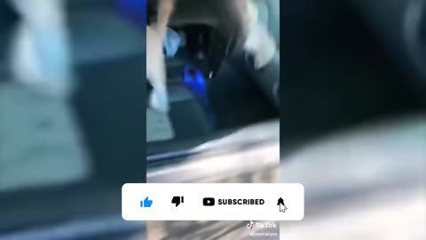 Animals Getting Scared Over Nothing 2022😂 [Funny Pets]