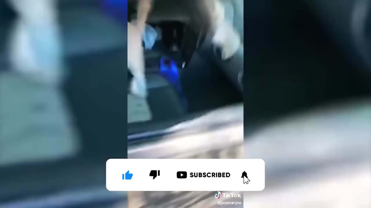Animals Getting Scared Over Nothing 2022😂 [Funny Pets]