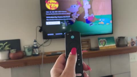Honest Review of the Amazon Fire TV HD Stick