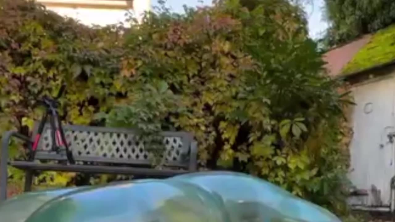 SPIDERMAN POP #spiderman #viralvideo #trending