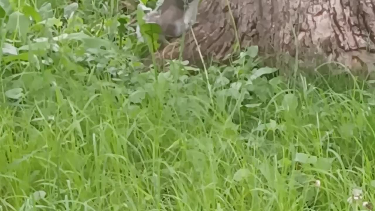 dont look over here