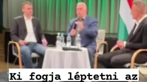 Napraforgó macskajancsi