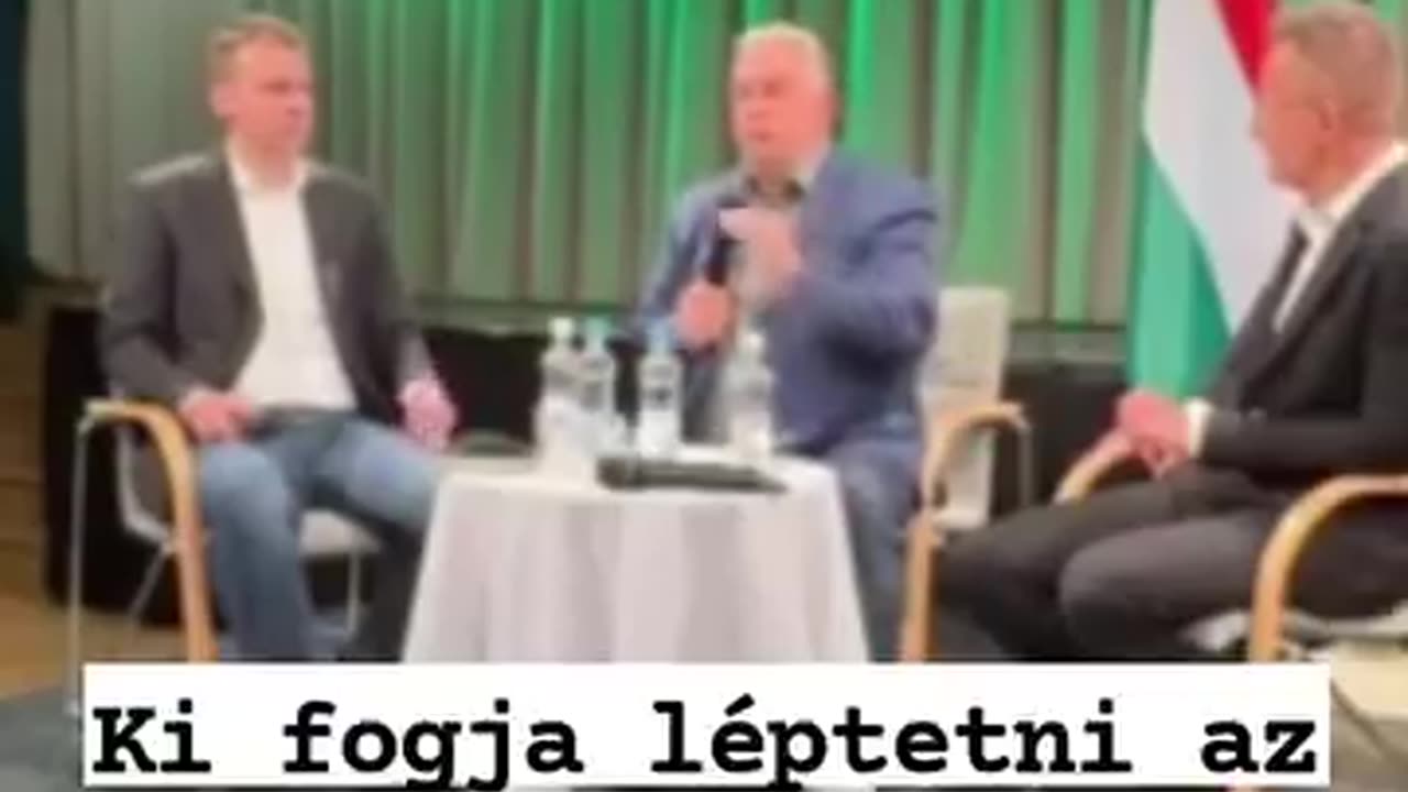 Napraforgó macskajancsi