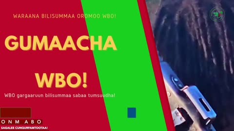 Gabaasa Gumaacha ONM-ABO Waxaabajjii 17-2025 itti dhiyaadhaa!