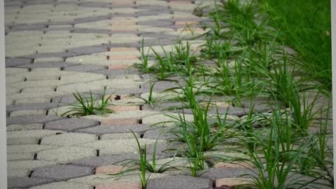 Utah_s new HOA ombudsman to help resolve disputes between HOAs and homeowners