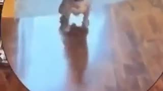 😂🤔 You Won't Believe How Unfair This Situation Is! | FunFM