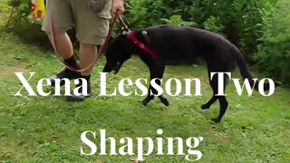 Xena shaping the at ease cue short 3