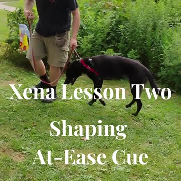 Xena shaping the at ease cue short 3