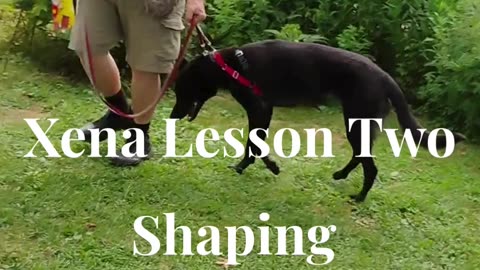 Xena shaping the at ease cue short 3
