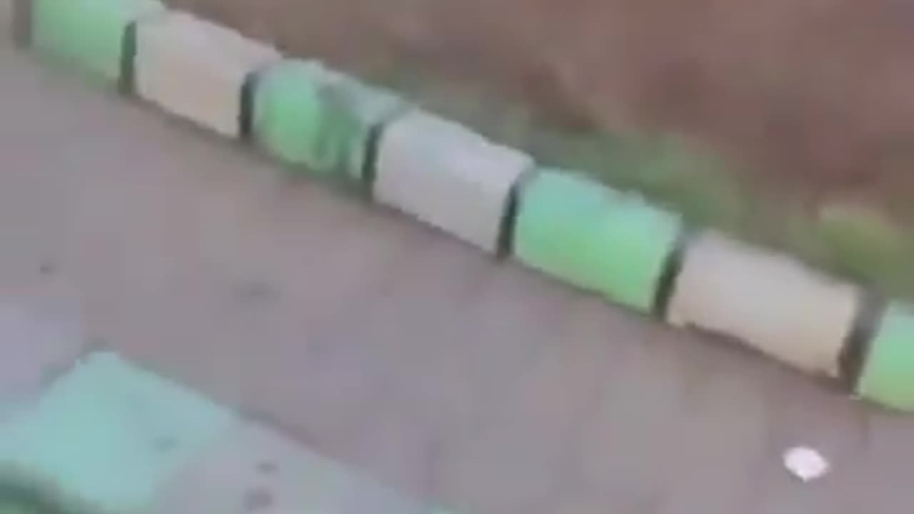 Video emerges of Syrian forces murdering an American citizen and his entire Druze family