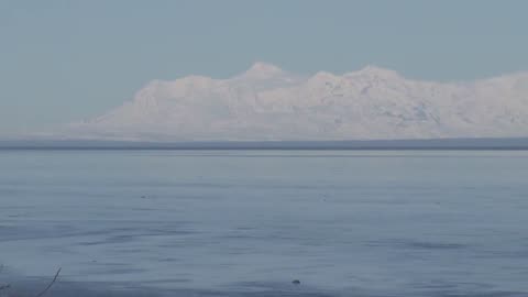 Volcano Watch: ‘A case-by-case basis,’ Alaska zoo lays out animal care plan