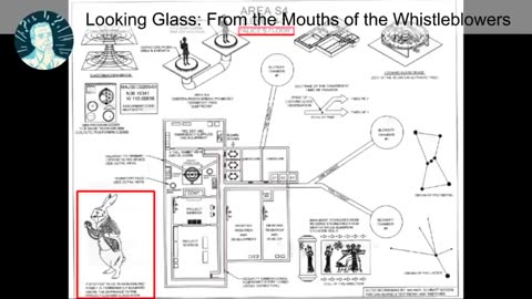 Project Looking Glass
