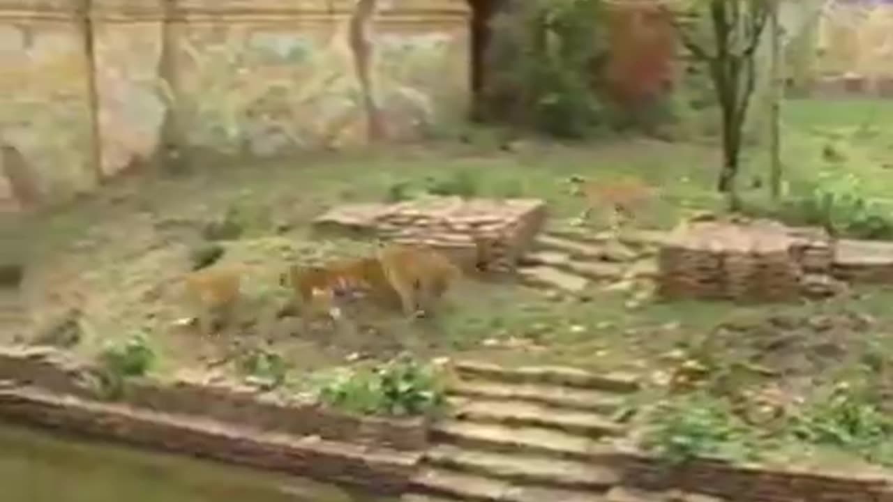 Disney Channel 2001 Commercial Break Part 6