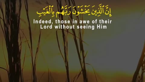He Knows What’s Hidden | Surah Mulk 12–15 | A Powerful Reminder for the Aware Heart