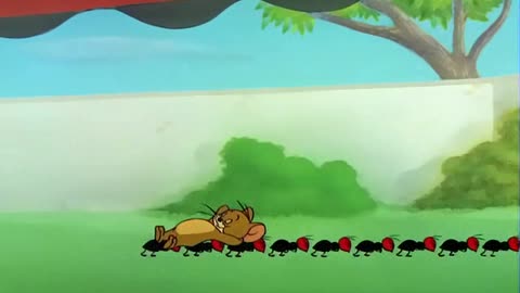 TOM AND JERRY EP 062 Cat Napping [1951] 720P