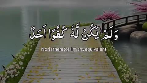 Beshak 💯♥️✨🕊️