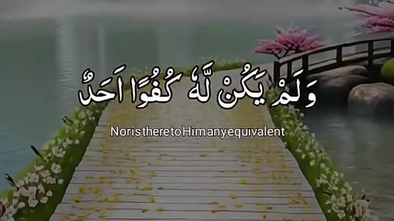 Beshak 💯♥️✨🕊️