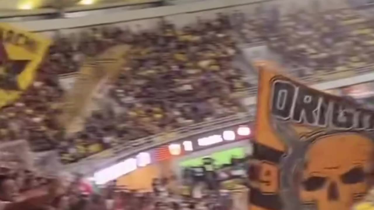 The world stands with Palestine ❤️