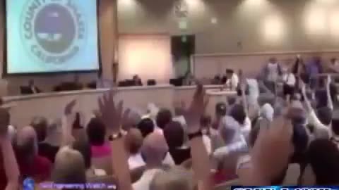 Former Pilot exposes the chemtrails!