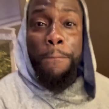 KEVIN HART IS THE GORILLA!!