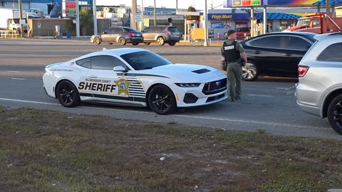 SEARCHING FOR 1 GOOD COP