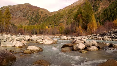 "Life is what happens when you’re busy making other plans."